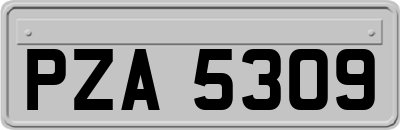 PZA5309