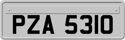 PZA5310
