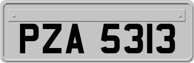 PZA5313