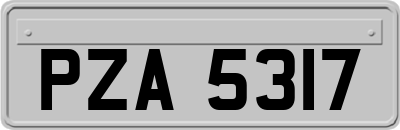 PZA5317