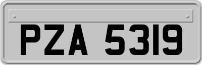 PZA5319