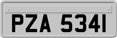 PZA5341