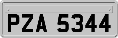 PZA5344