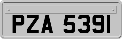 PZA5391