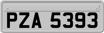 PZA5393