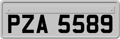 PZA5589