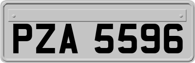 PZA5596