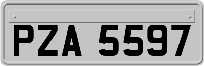 PZA5597