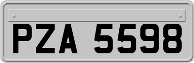 PZA5598