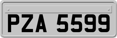 PZA5599