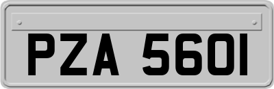 PZA5601
