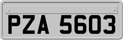 PZA5603