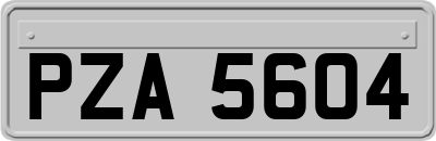 PZA5604