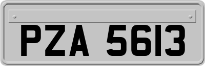 PZA5613