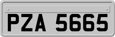 PZA5665