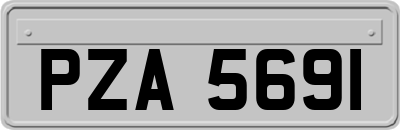 PZA5691