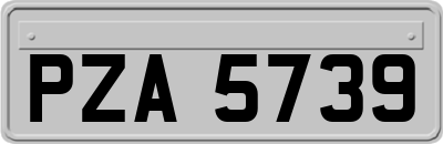 PZA5739