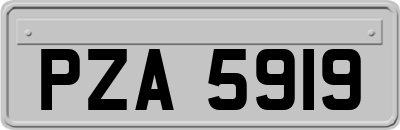 PZA5919