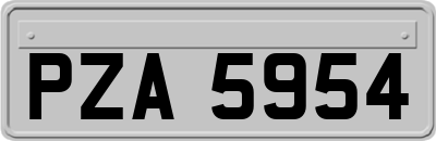 PZA5954
