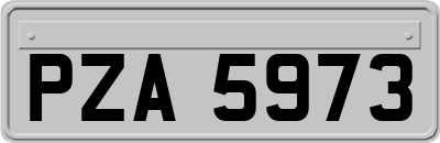 PZA5973