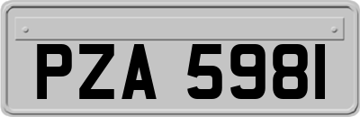 PZA5981