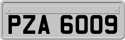 PZA6009