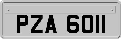 PZA6011