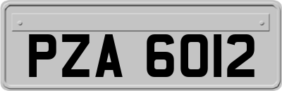 PZA6012