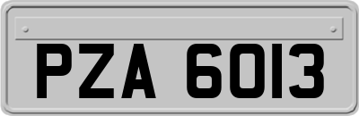 PZA6013