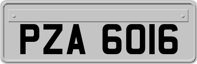 PZA6016