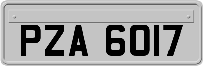 PZA6017