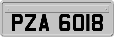 PZA6018