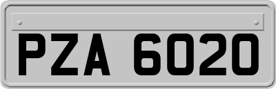 PZA6020