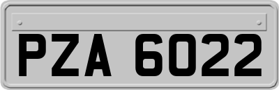 PZA6022