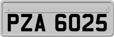 PZA6025