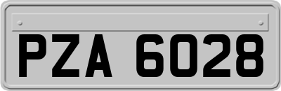 PZA6028