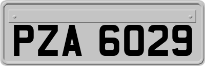 PZA6029