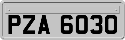 PZA6030