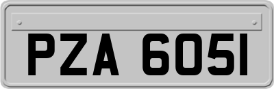PZA6051