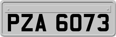 PZA6073