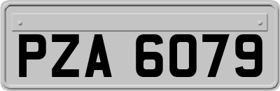 PZA6079