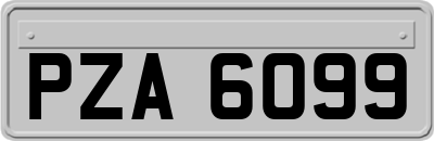 PZA6099