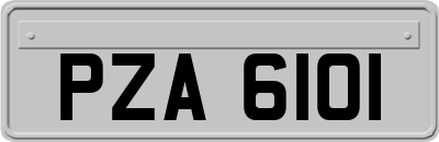 PZA6101