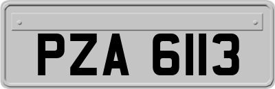 PZA6113