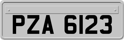 PZA6123