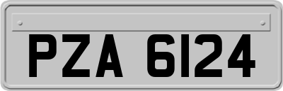 PZA6124
