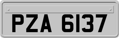 PZA6137