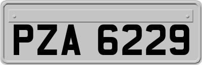 PZA6229