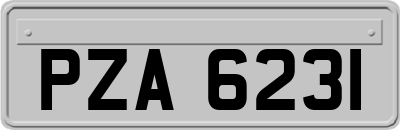 PZA6231