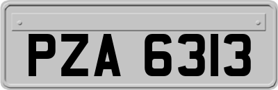 PZA6313